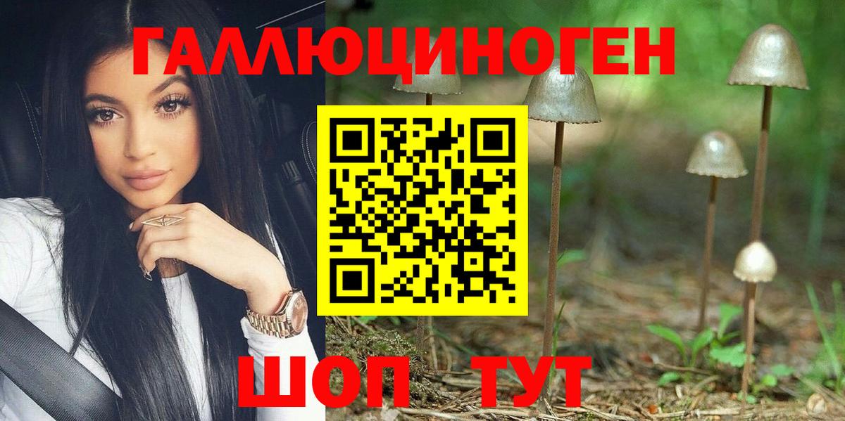 Псилоцибиновые грибы MAGIC MUSHROOMS  Вход с VPN  Медногорск  Галлюциногенные грибы GOLDEN TEACHER 